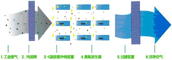 香港澳门宝典精准资料